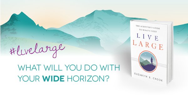 Re-Ignite your life today! Read Elizabeth B. Crook's #LiveLarge - The Achiever's Guide to What's Next >> thndr.me/Xxs2iM