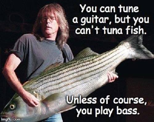SwainBand's tweet photo. #tuesday #musichumor https://t.co/tzp8rOWRUm