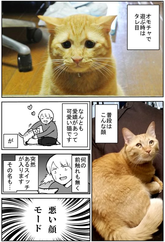 きくまき Twitter પર 悪い顔 タレ目猫そむ