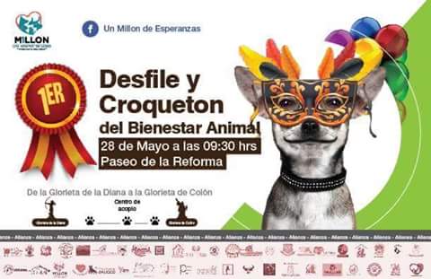 Naela Ramirez tweet media