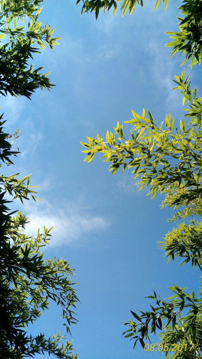 La #natura ci invita all'#abbondanza!Celebrate con noi a #Bologna c/o <a href="/Scinthilla/">Esperio Scinthilla</a>! #familyday questo sabato 13 #accademia il 20 maggio!