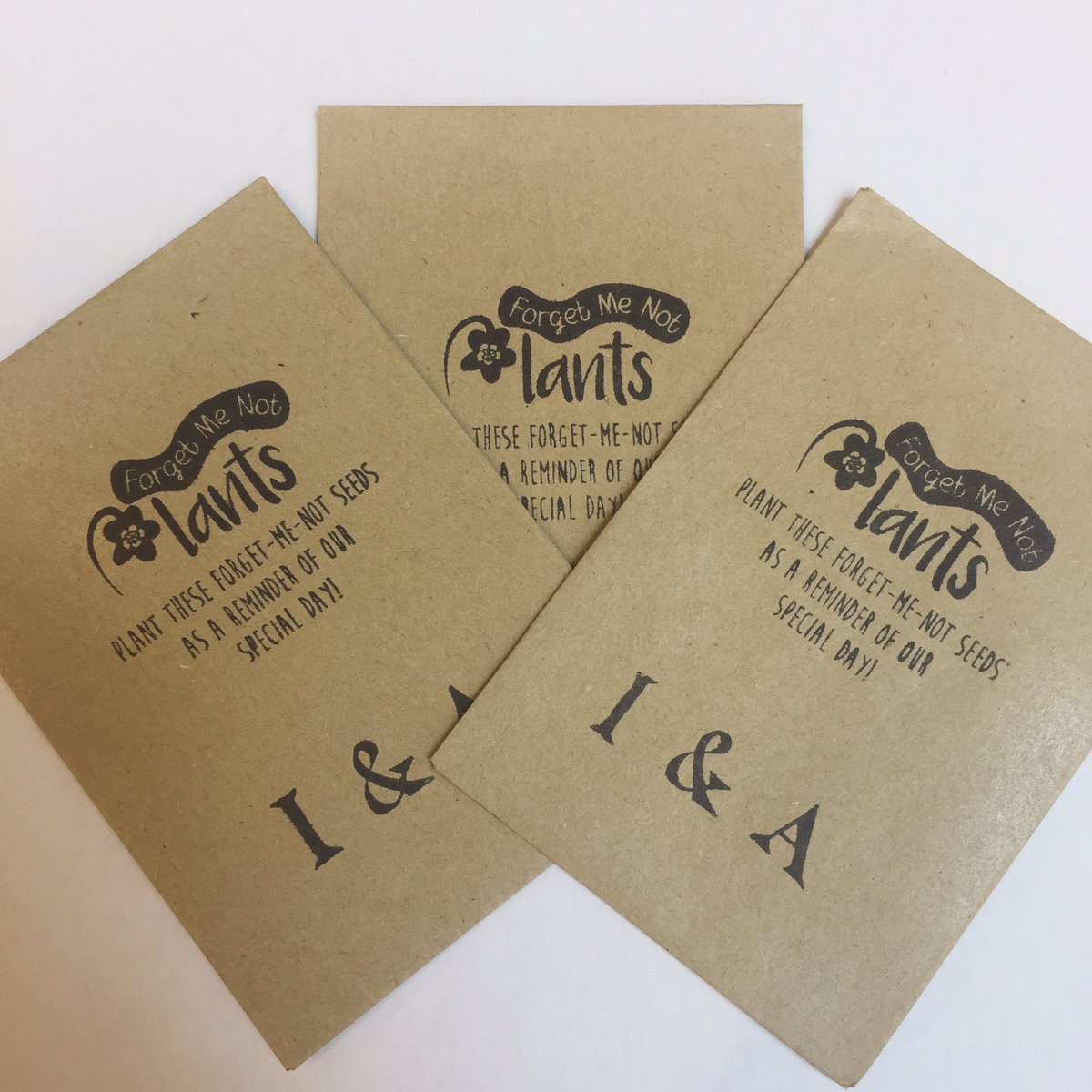 Forget Me Not Plants tweet media