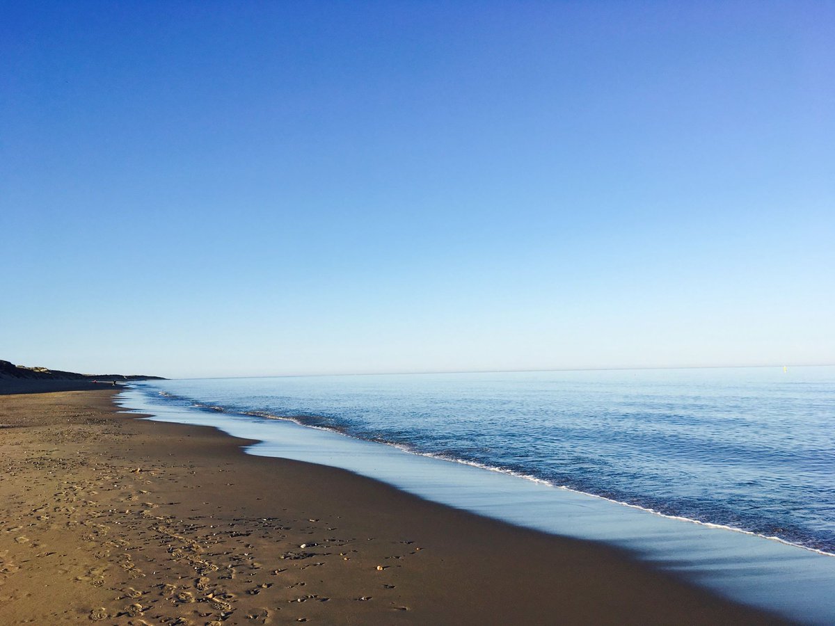 Love_Gorey's tweet photo. Fab picture of #Morriscastle beach from Niamh at @MorriscastlePk ! You gotta include Europe's longest beach in ur #summerplans #lovegorey https://t.co/mdpF3X28LJ