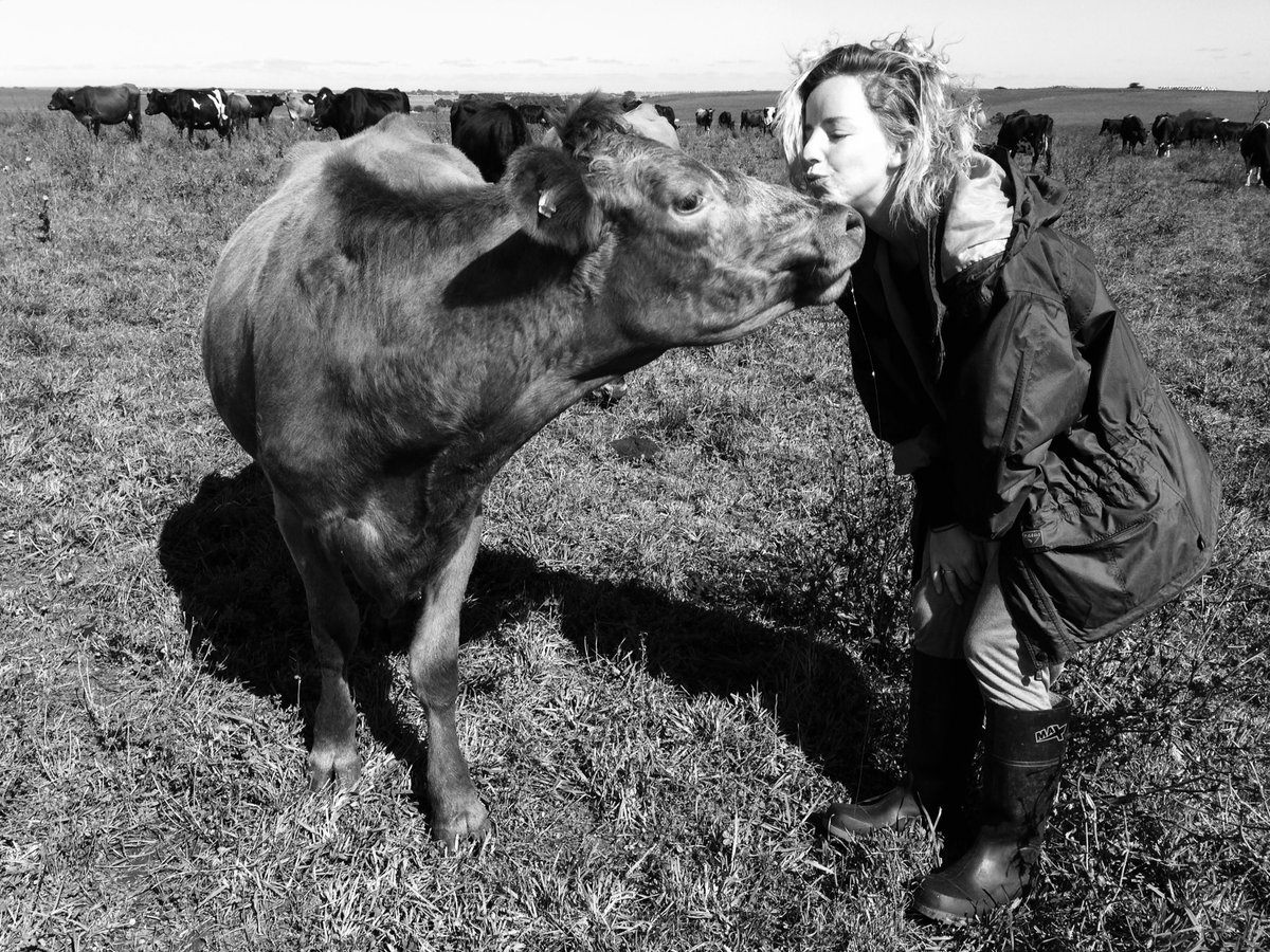 Back to basics #farmlife #cows #dairyfarmers