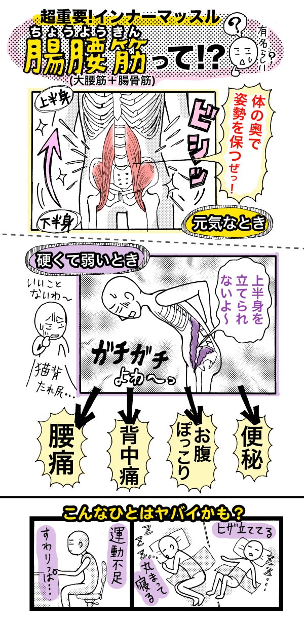 崎田ミナ 新刊 自分の手でときほぐす ひとりほぐし 発売中 30代前後 加齢とともに衰え始めるインナーマッスル腸腰筋 腰痛い お腹ぽっこり 猫背 Etc あと何もないところでつまづきやすい人 当てはまる人はこの筋肉が硬くて弱って