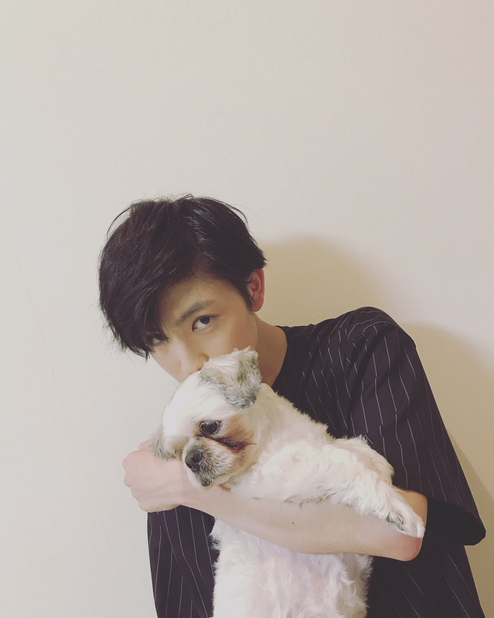 GENIC 増子敦貴 ぬいぐるみ マスコット 71UK0sefOLL._AC_SY200_QL15_.jpg
