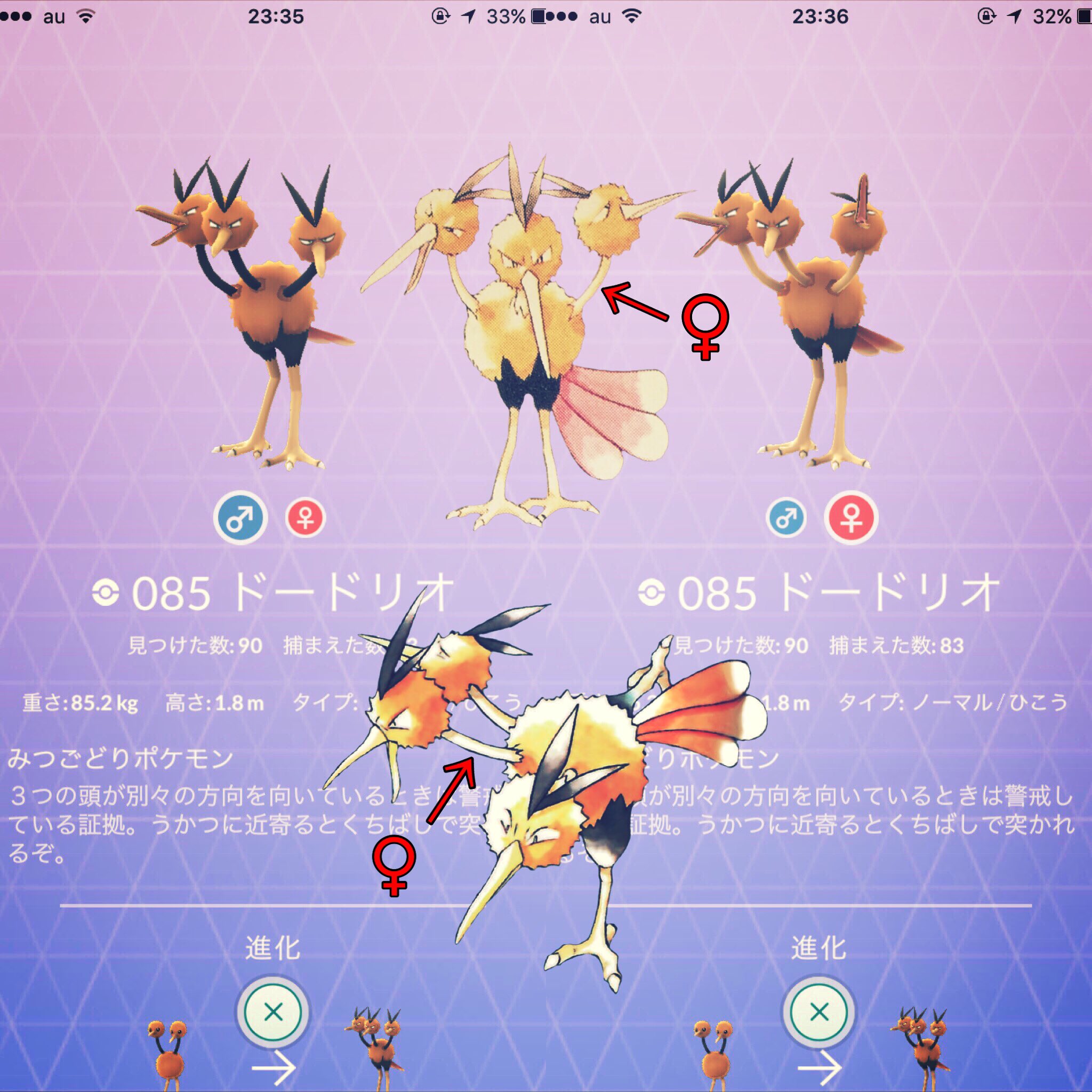 Kenken Auf Twitter 原作の過去イラストのドードリオは雌だった 口 ๑ 意外と知らない人も居たんじゃないでしょうか 雌雄のこだわりがある人にオススメ Pokemongo Pokemon ポケモンgo Poketmonster ポケットモンスター ドードリオ T