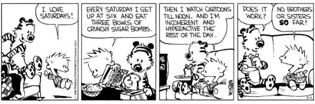 Calvin and Hobbes Fan Account (@calvinn_hobbes) on Twitter photo 