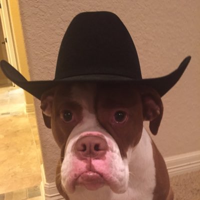 AlexHassinger's tweet photo. #NewProfilePic https://t.co/AW401NhTD6