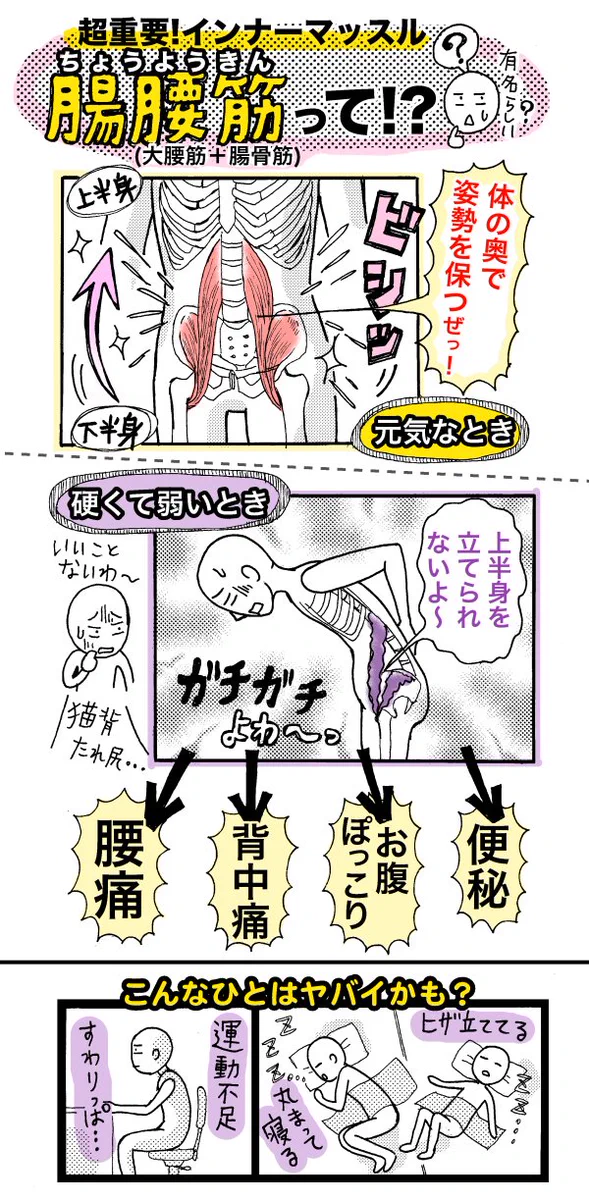 マジか！インナーマッスル腸腰筋を鍛えるとこんなにいいことがあった！！