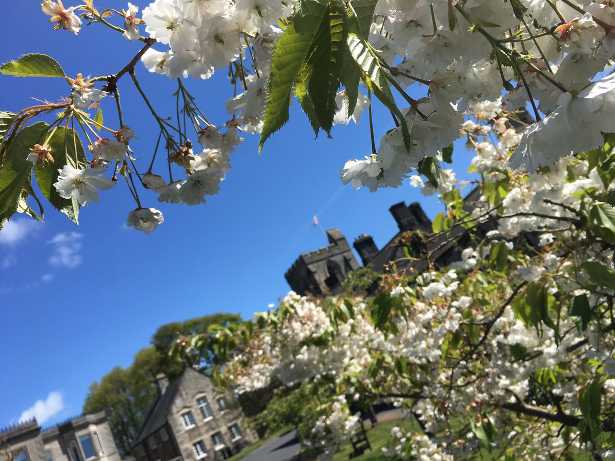 #Rothbury looking stunning in the spring sunshine today! #Northumberland