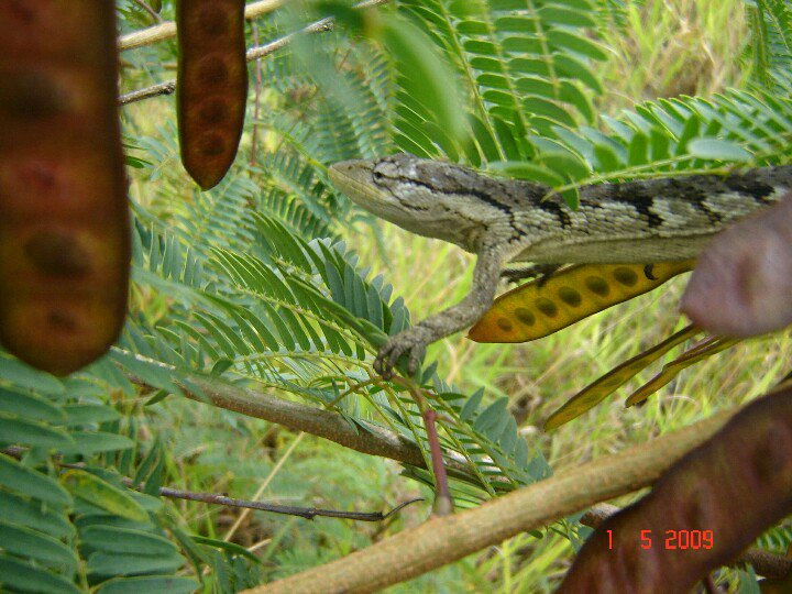 I'm at Pet Shop Pet  Family w/ <a href="/patynha13041/">paty</a> <a href="/patriciaanjos11/">Patricia Anjos</a> @patricinhaa08 <a href="/negamaluca12341/">tim beta (paty) .</a> swarmapp.com/c/9m4hGQRZxnS