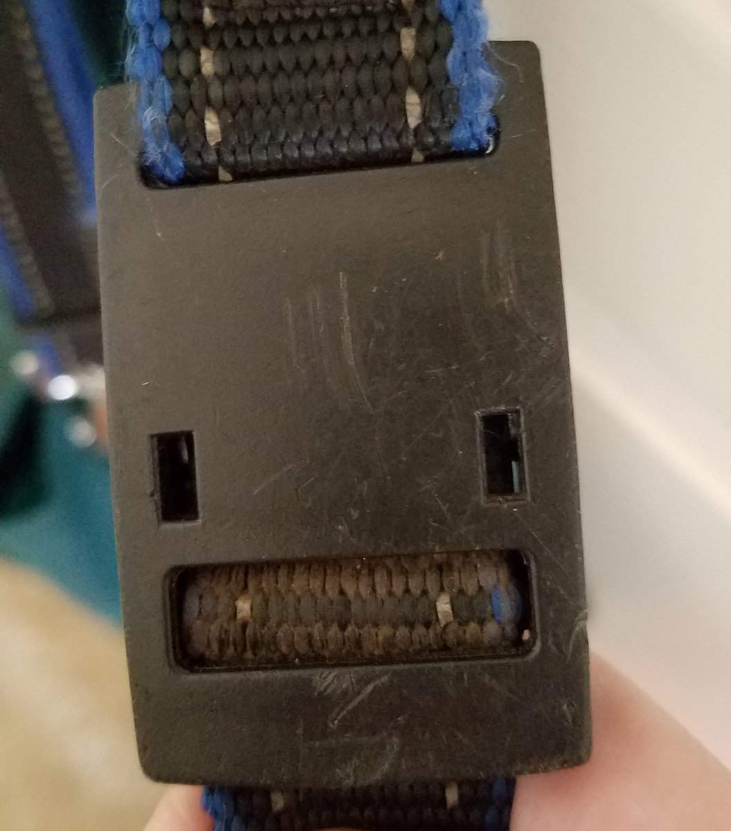 FoundAFace's tweet image. Cheeeeeese. #foundaface