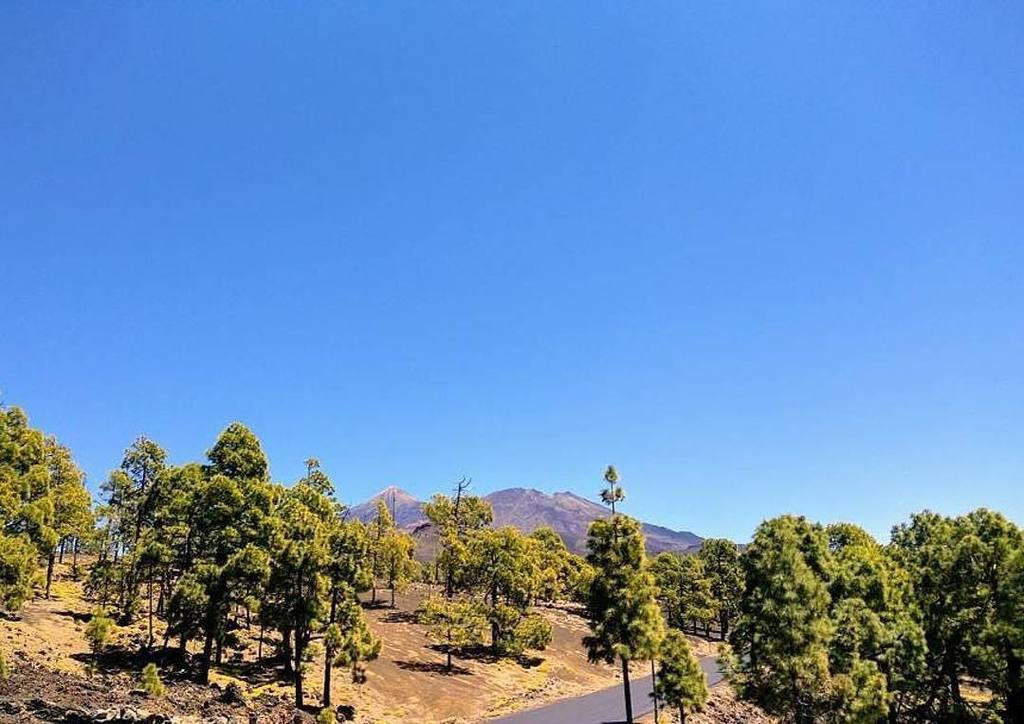 totaltenerife's tweet image. Beautiful colours of Teide National Park in Tenerife! Have you explored this incredible place yet? Photo and text by @traveltenerife_