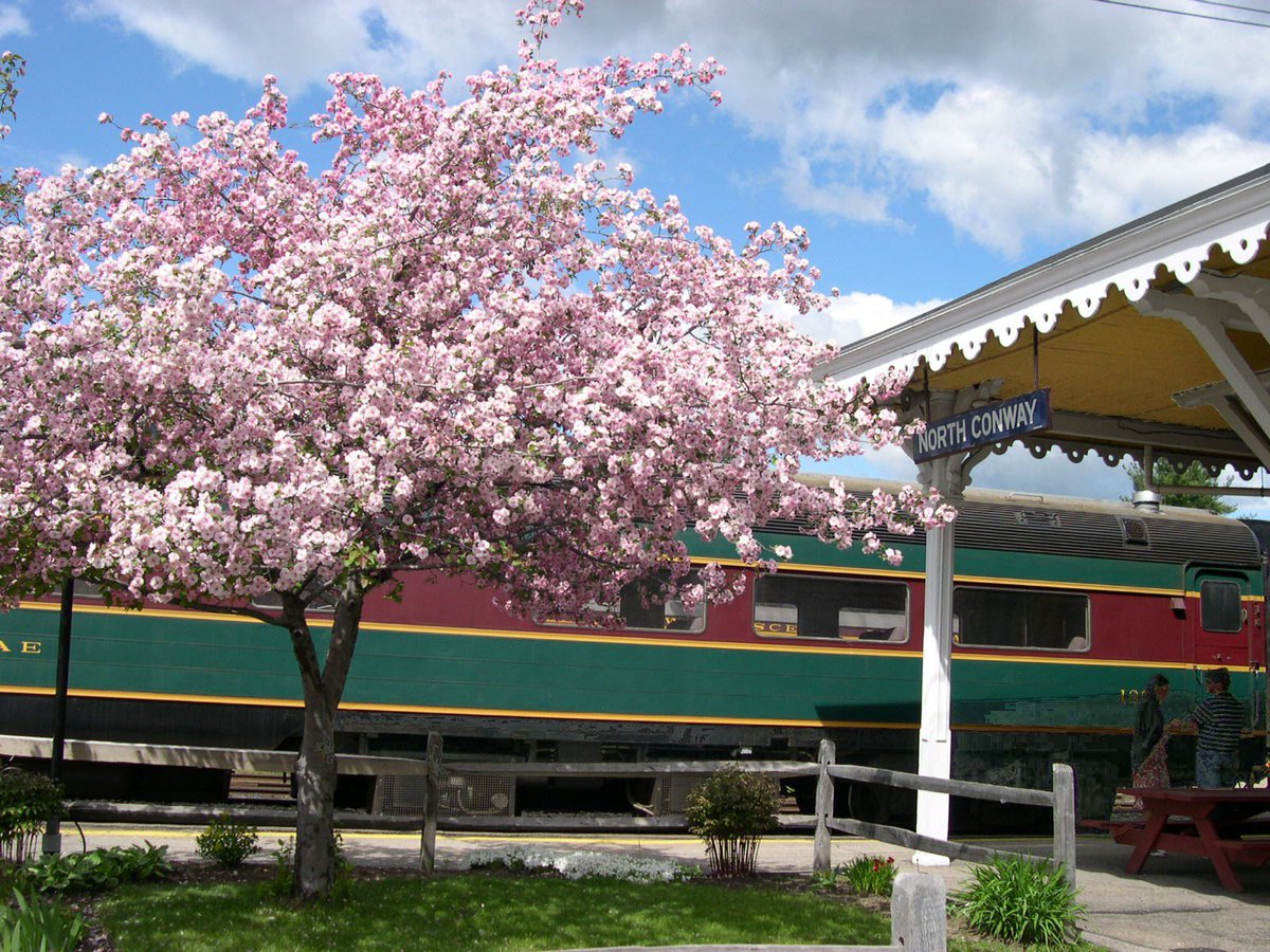 We are open daily with departures at 11:30 and 1:30.  All Aboard!  #whitemountains