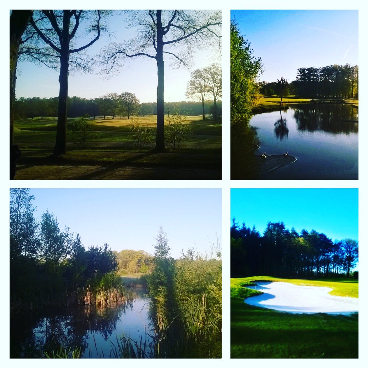 Genieten <a href="/gcmiddenbrabant/">GC Midden-Brabant</a>! #golf #lente #golfen #golfbaan #genieten