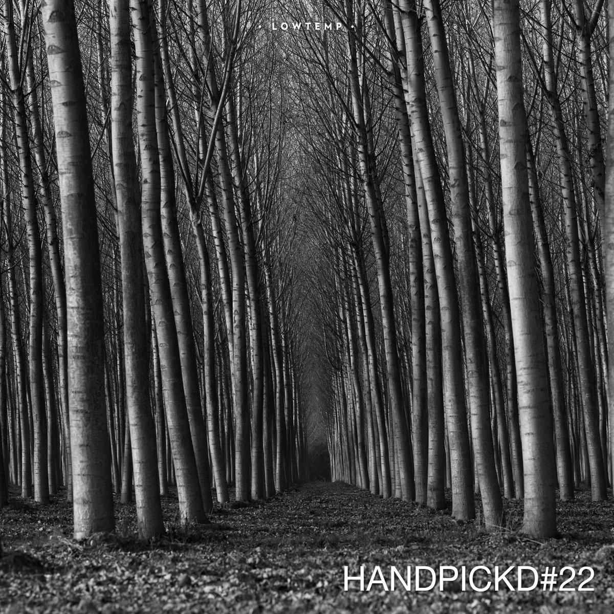 LowtempMusic's tweet photo. So much good music April. Here's our #handpickd playlist 👌
https://t.co/EXxttf3nw7 https://t.co/oDGXqhMo4z