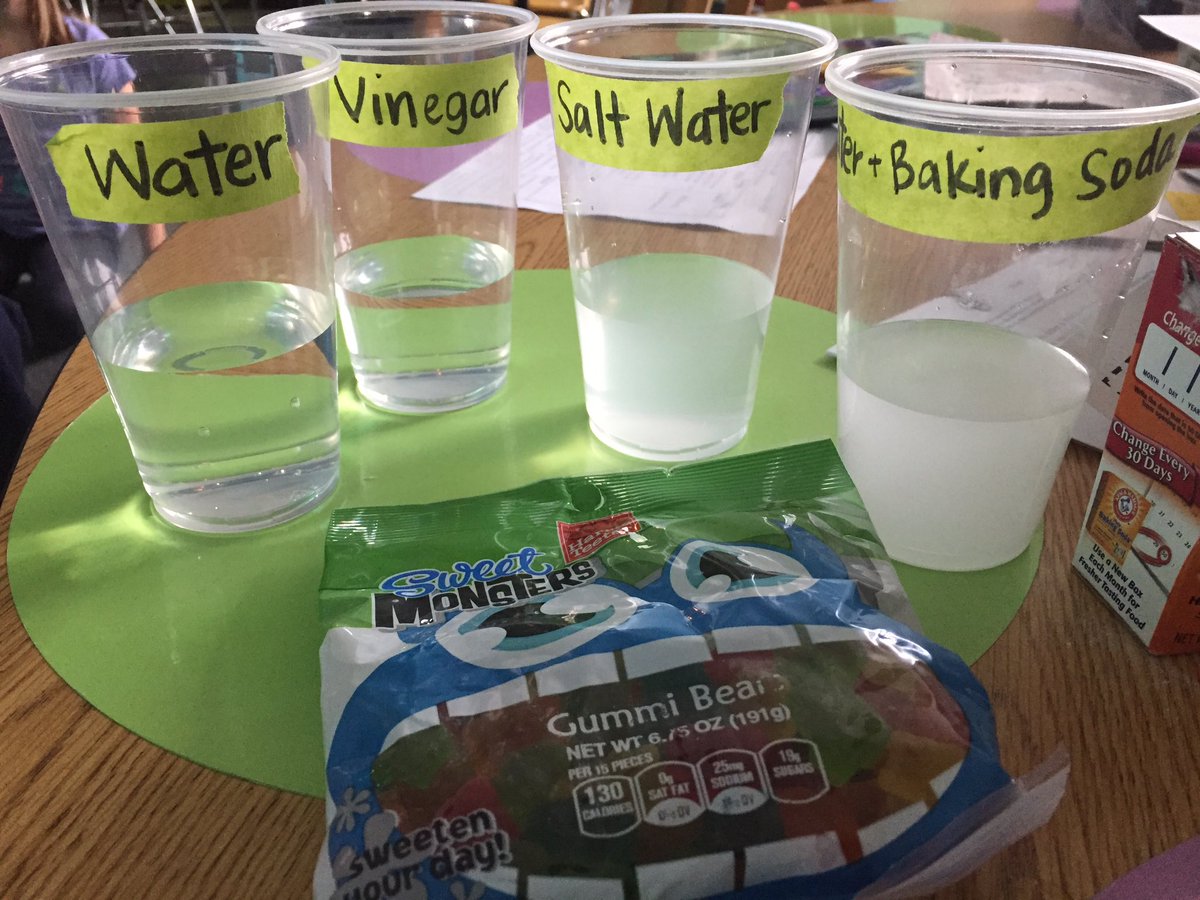 2day is experiment day 4 the letter "E" n our countdown 2 the last day 12 hrs later we will see if our hypothesis r correct @BaucomBuddies