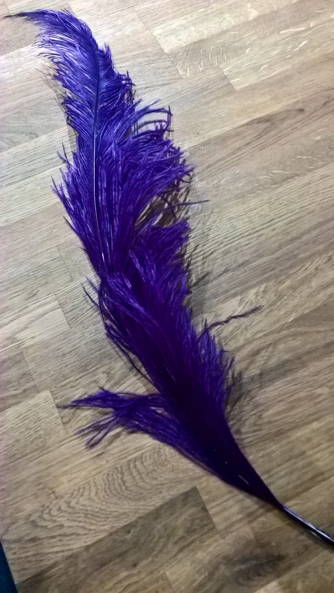 Jerome will be tickled to use this quill #lionopera😊😊