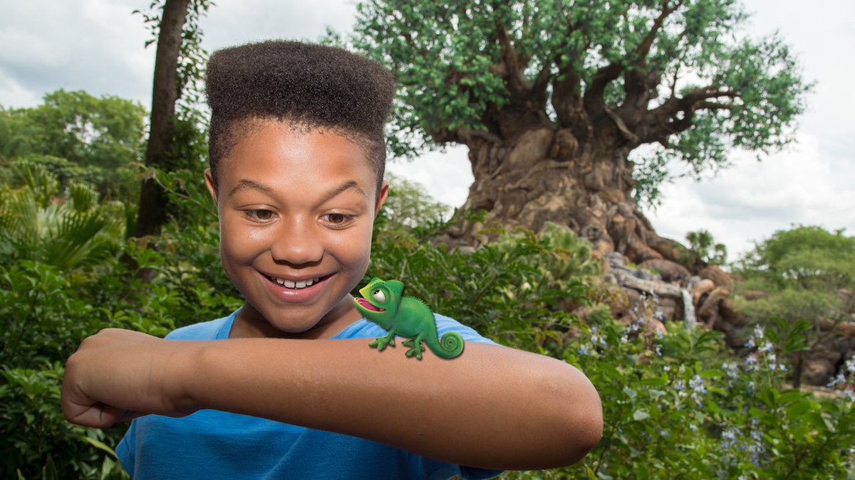 Kagamickey ウォルト ディズニー ワールドではマジック ショットというフォトパスの写真にディズニーキャラクターやアイテムを合成してくれるサービスをやっているんだとか 日本のフォトキーカードでもこういうサービスやったら面白いんじゃない 楽しい