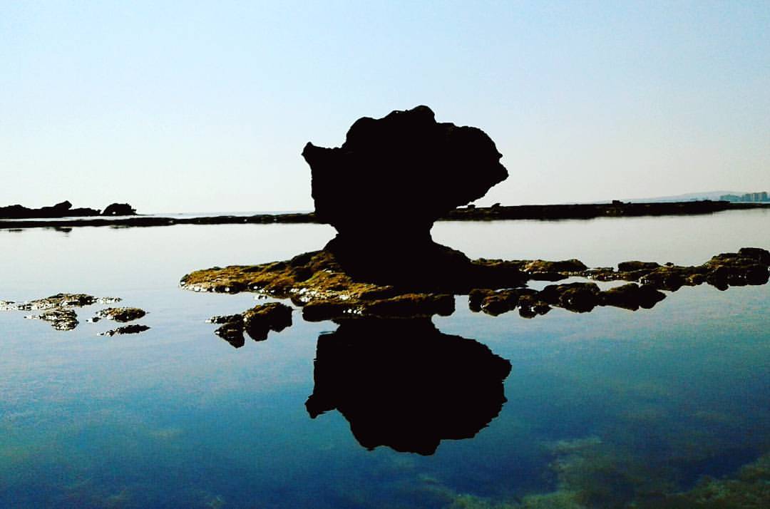 YANSIMA yı YANSITMA