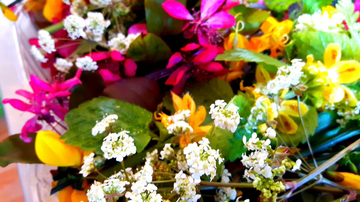 Delifreshltd's tweet photo. Look what's coming - a beautiful mixed WILD sweet flower selection- limited amounts, delivery Friday get abpunnet reserved .... https://t.co/t2WjrPLBEM