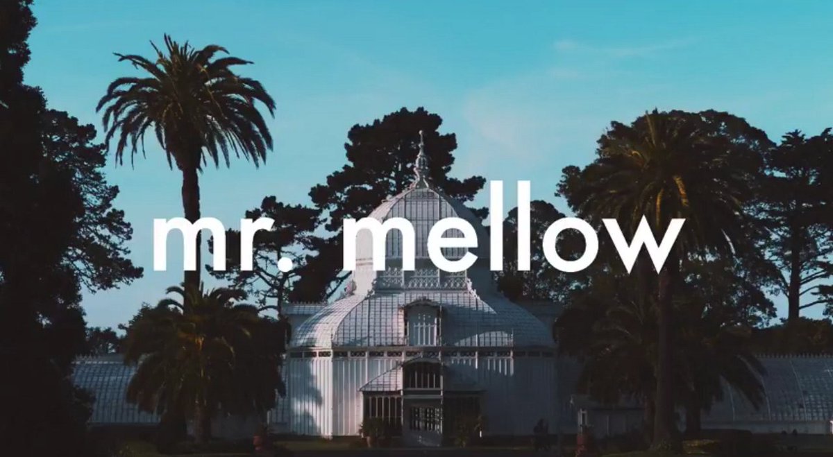 HelloMrMellow tweet picture
