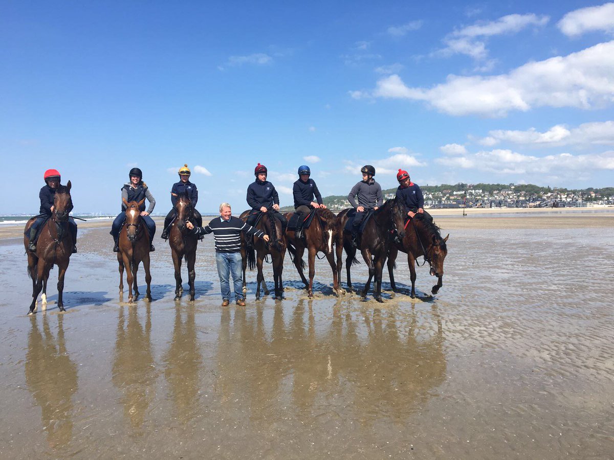 InfoArqana's tweet photo. Con Marnane and his breeze up draft thriving in @DeauvilleFr ! https://t.co/UWWzDnhkzY