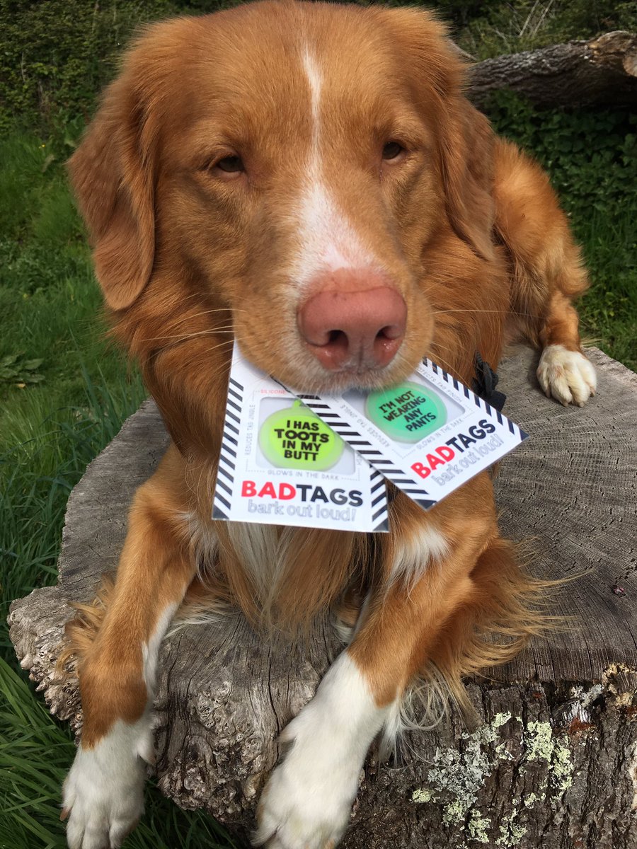 wishuponatoller's tweet photo. They've arrived!! 😱 @buybadtags We love them!!! https://t.co/n1zuKU4zlM