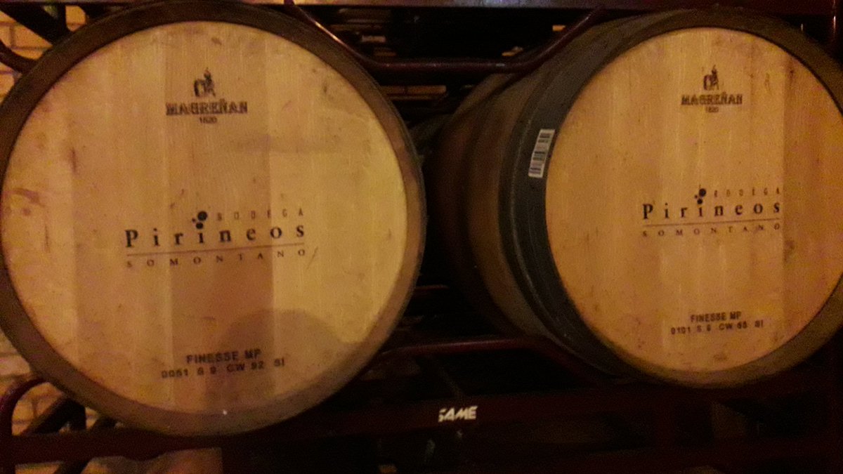 mpellisae's tweet photo. El vi quan el cates per primera vegada t'agrada o no #bodegaspirineos #DOSomontano #bechmark #TerresdelEbre https://t.co/yOQq03WTLz