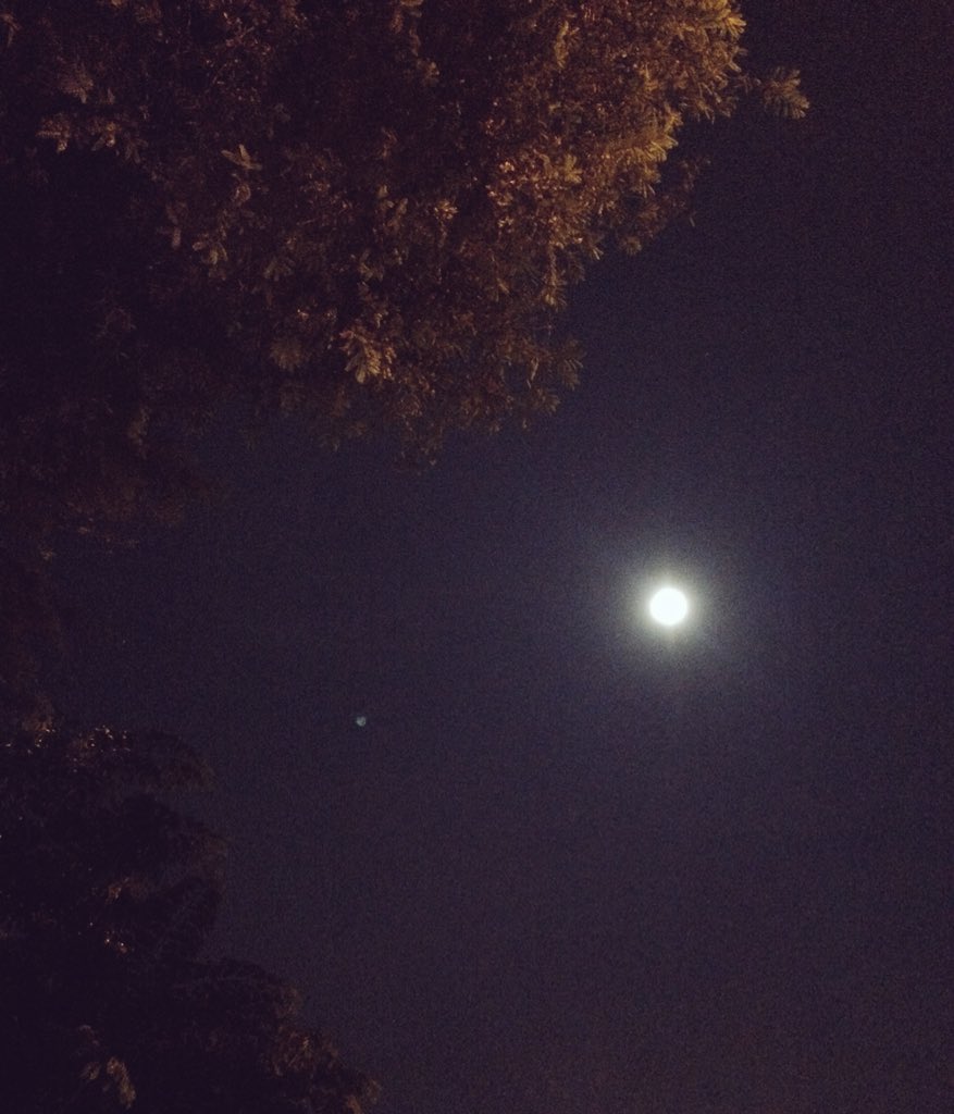 Bentara Bumi V Twitter Bulan Purnama Bersinar Terang Di Atas Cipinang Selamat Berisitirahat Pak Basuki Btp Doa Kami Semua Bersamamu Malam Ini Bebaskanahok Https T Co D7vlwrallk bulan purnama bersinar terang di atas