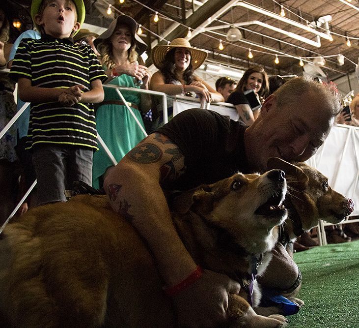 KevinJBeaty's tweet photo. #photooftheday: This weekend @ashleydean and I went to a #kentuckyderby party to watch #Corgis race in a high-stakes contest.

Shot #onassi… https://t.co/9a2JfQDxdh