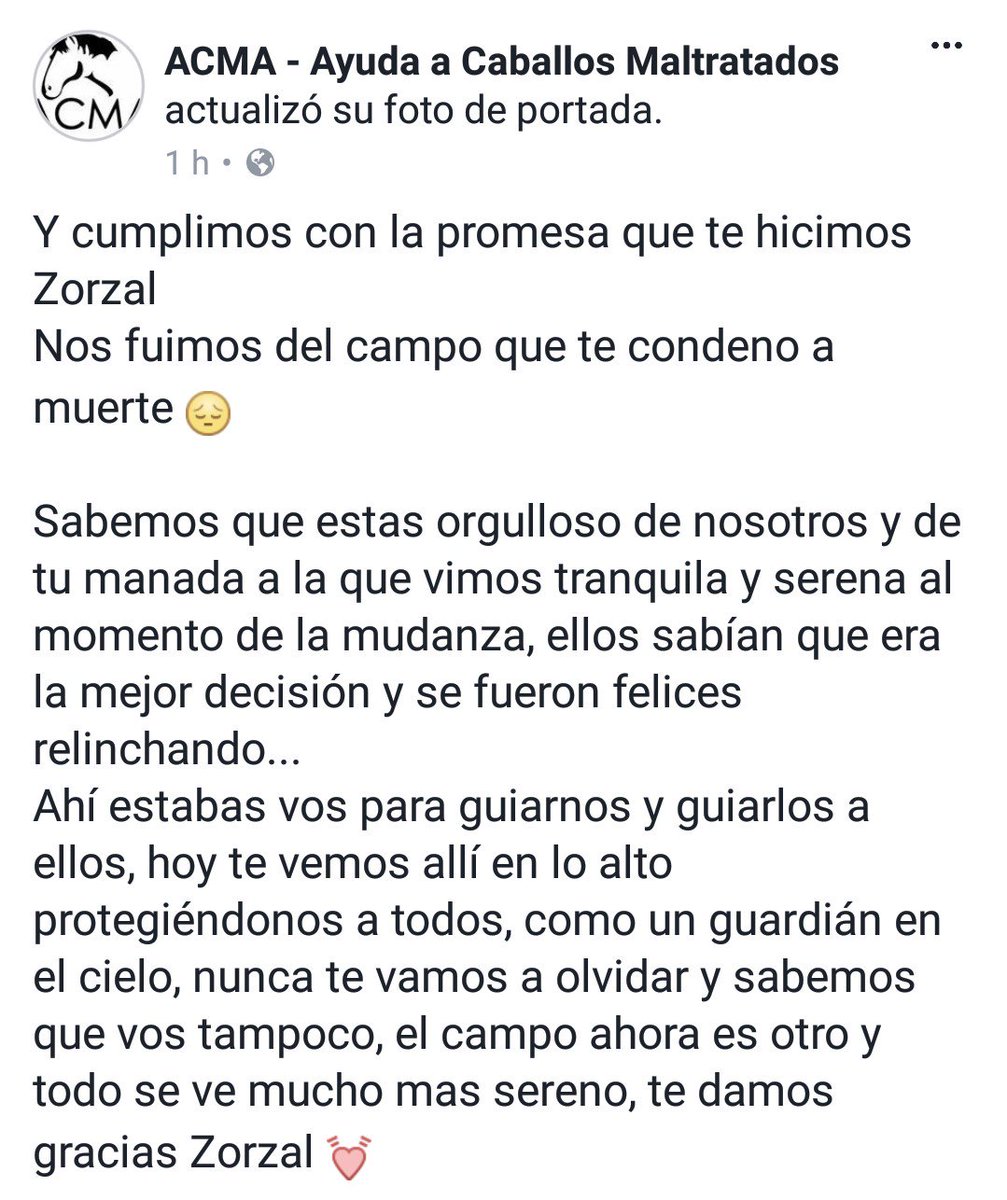 ACMA CABALLOS tweet media