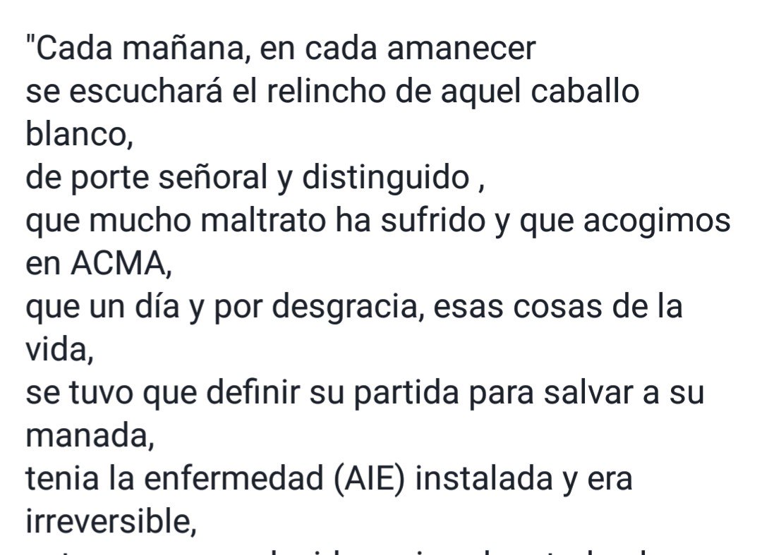ACMA CABALLOS tweet media