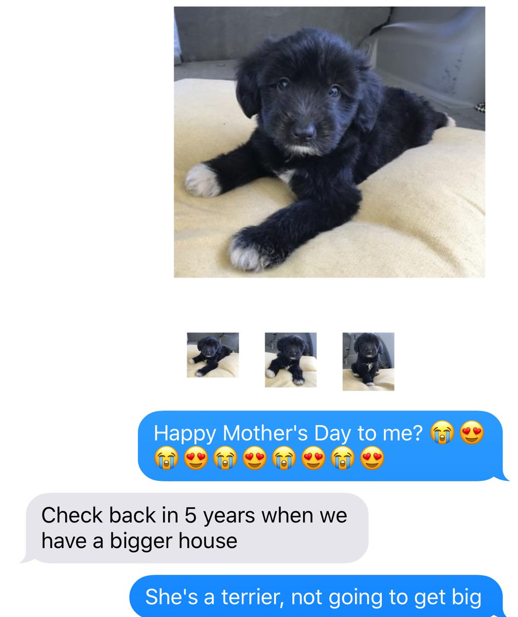 Sass_Stilettos's tweet photo. Dating me be like: https://t.co/iP1P3lJeuW