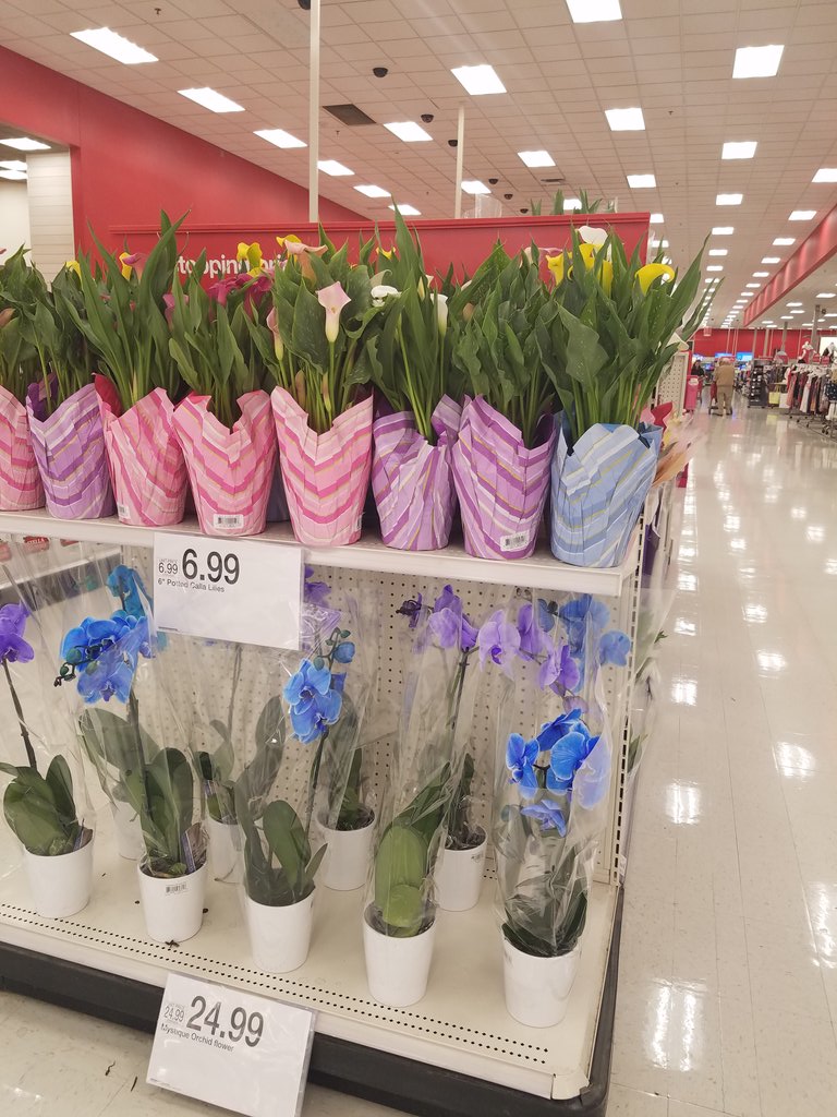 GabrielaRios23's tweet photo. #MothersDay2017 #MothersDaygifts
Thank you @ashhyne for your help this morning! #1168 #vmldiaries #❤myjob
@ZackPapes89 @ncraynon https://t.co/lOvEenQhep