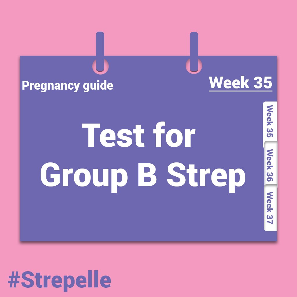 strepelle1's tweet photo. Find out more about how you can test for Group Strep B #GBS #Strepelle visit https://t.co/Lm9cyA6qnS https://t.co/bH5AnoM7de
