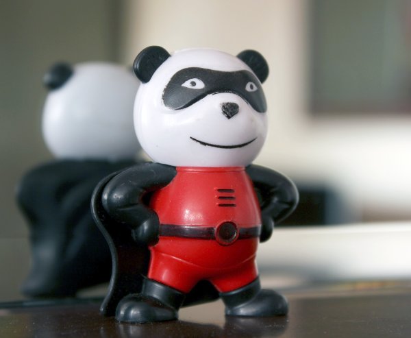 SuccessWebTrain's tweet photo. Google Panda Impacts Your #WordPress #SEO - https://t.co/7p4sVbUv9G https://t.co/Q8YjM7PbtY