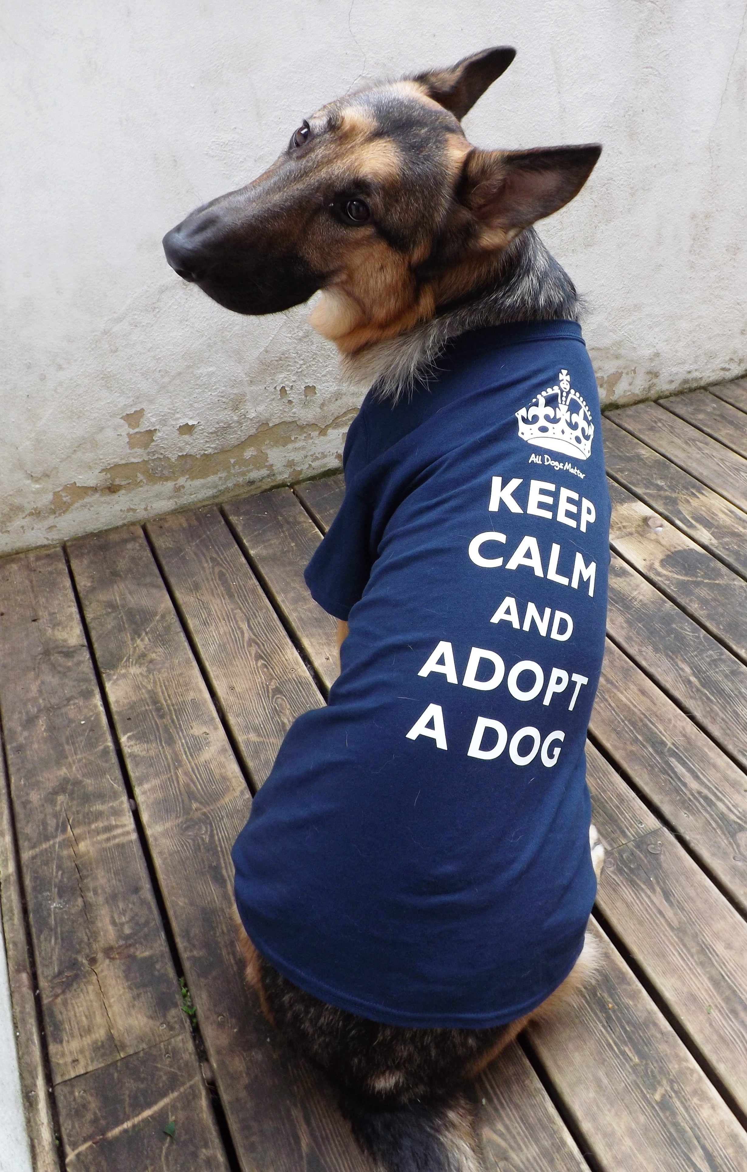 Get off my top dog bro t shirt