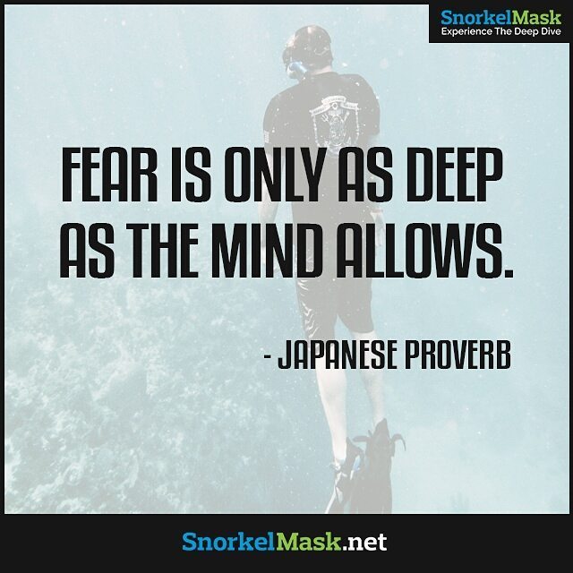 snorkelmask_net's tweet image. Dive with out fear to see the beauty underwater.