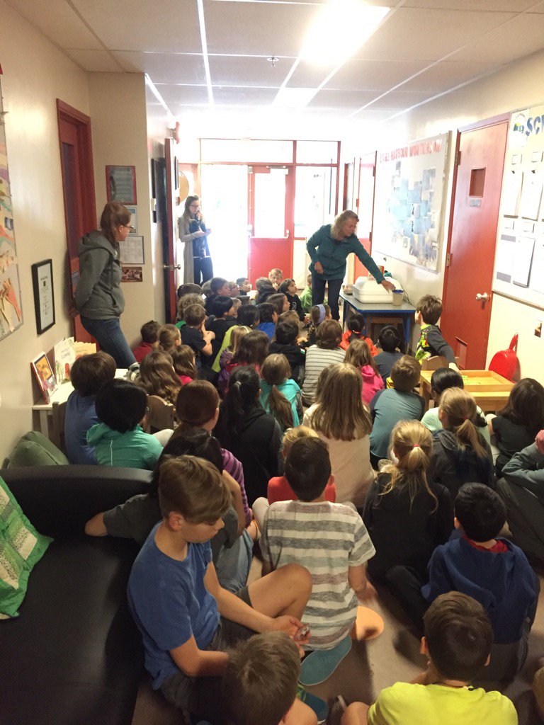 YVR_P's tweet photo. Eggs arrive @EHNews for some #ExperientialLearning / #science as they hatch. Thanks @saraheverett49! @WestVanSchools https://t.co/V0GLR7ADM3