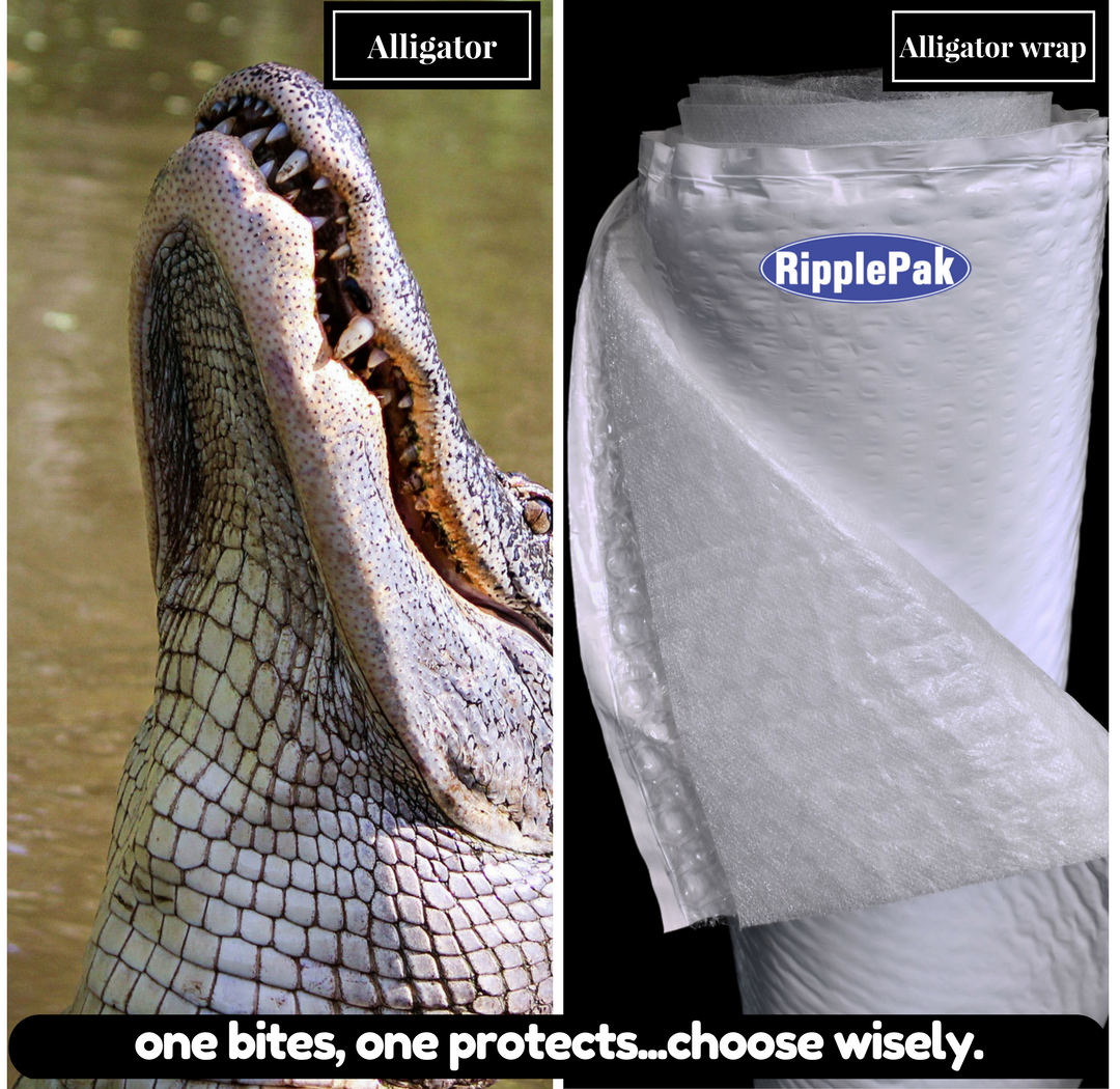 Our alligator protects.