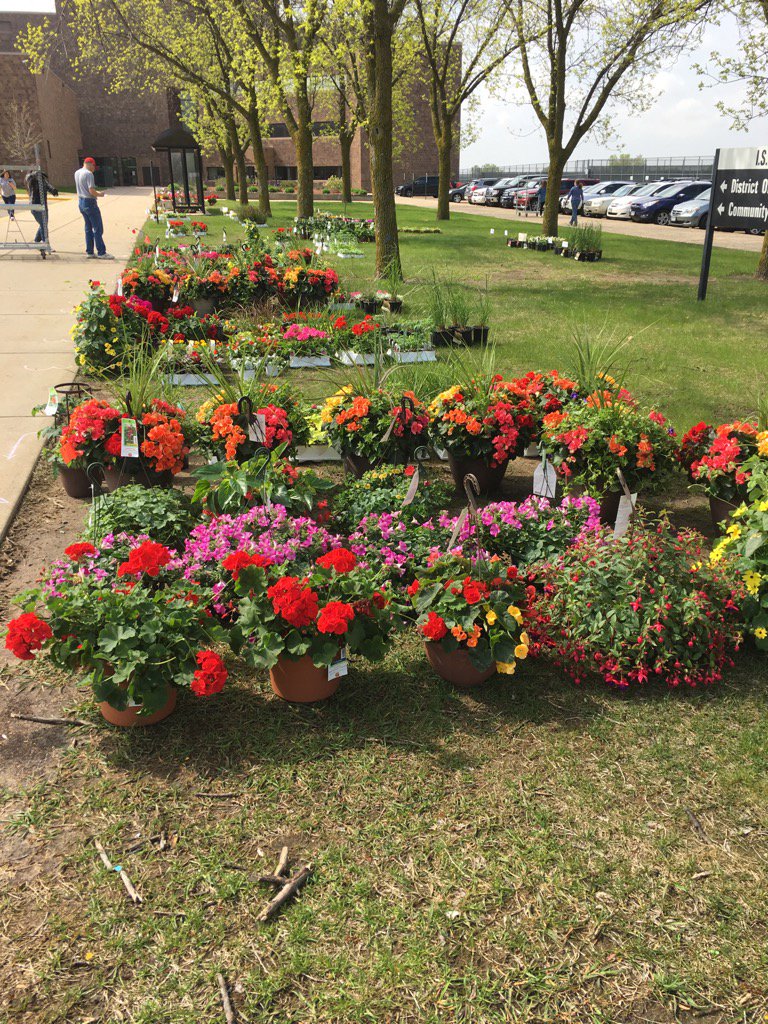 Henry Sibley Band plant sale sorting is going well!