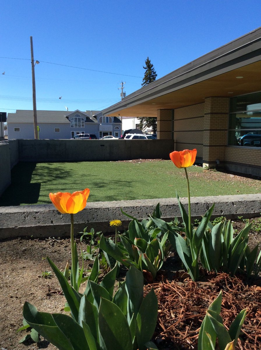 TaberLibrary's tweet image. Today is #PublicGardenDay. Grab a book and come enjoy our courtyard. #Taber #TaberPublicLibrary
