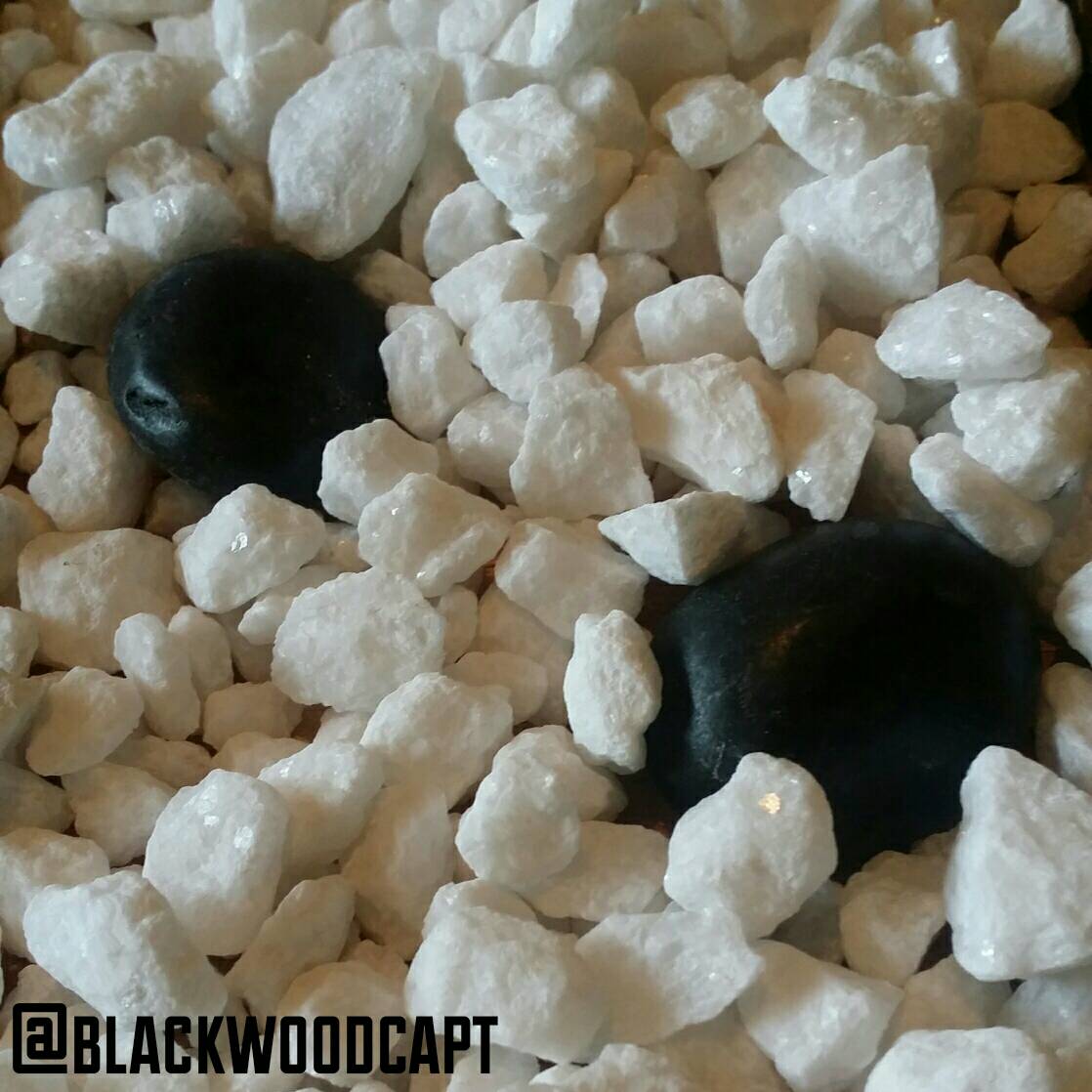 blackwoodcapt's tweet photo. Next week's reveal (Sneak Peak!): [ Nickname: Rocky Shores ] - Stay tuned! #custom #design #diy #woodworking #piratestuff https://t.co/yef9CkudC7