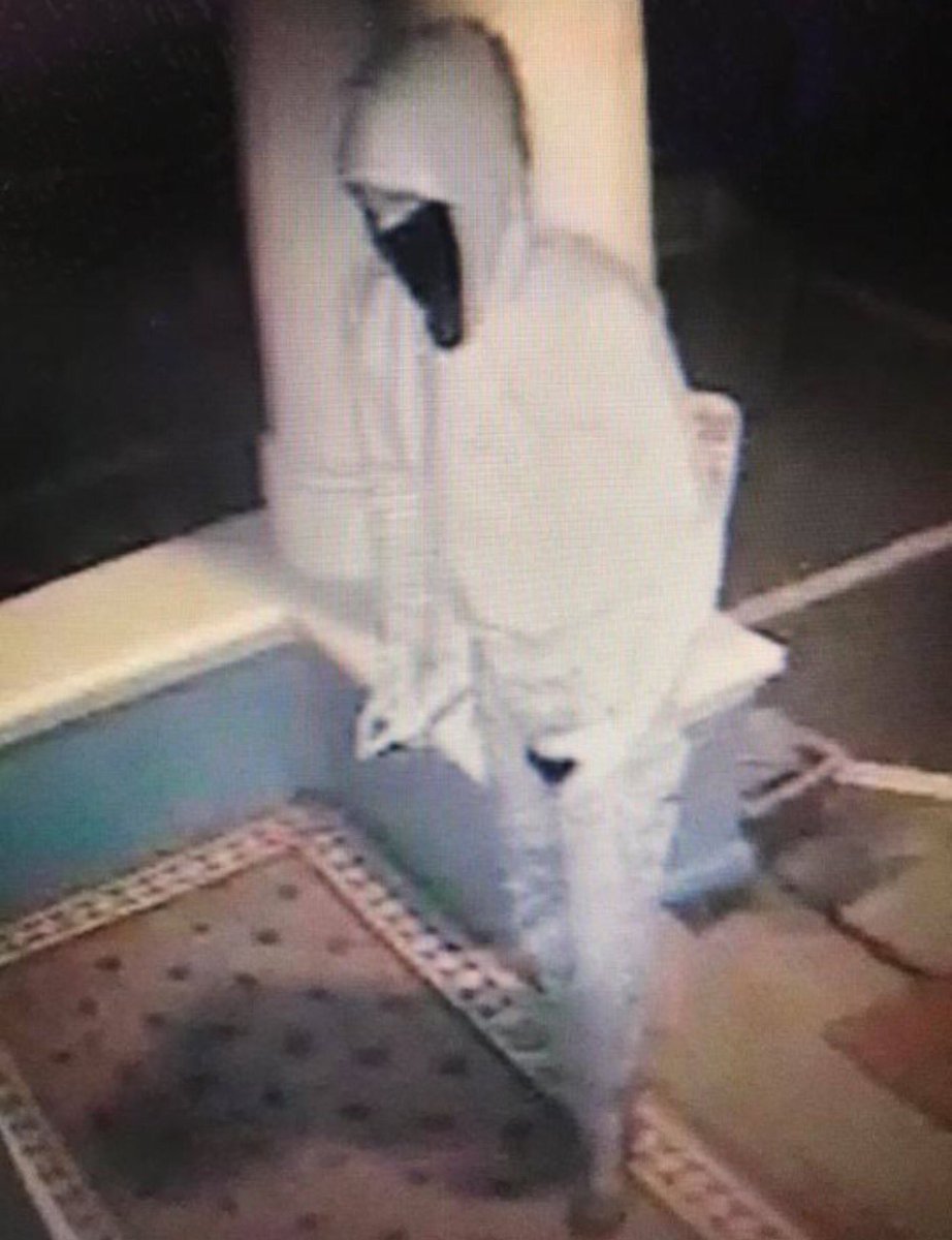 KingsbridgePol's tweet image. Know this figure?Responsible for a large amount of damage in #Totnes overnight #appeal @DC_Police @IvybridgePolice facebook.com/TotnesPolice/p…