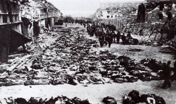 ayoub0333's tweet photo. #انا_مانسيتش 
 #8mai1945
les #Massacres ont marqué le début de l’action #armée... https://t.co/7MJFaxMnyZ by #NadouchRose via @c0nvey https://t.co/NHoke0A9cf