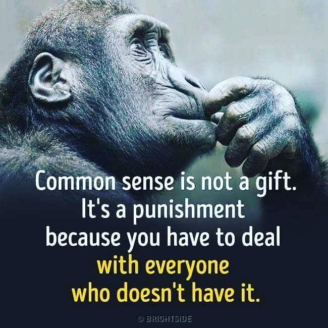 skyangelent's tweet photo. #tuesdaymotivation #traveltuesday #inspire #thatsamore #dailyquotes #followback #SkyBird #CUBEiT #2C2D #FruityPop https://t.co/qtNJpGPfUk https://t.co/KD8DW84JfL