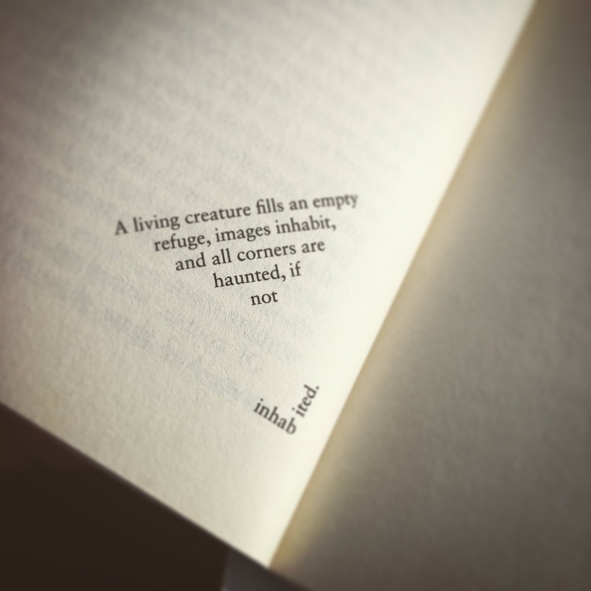 particlethistle's tweet photo. #thepoeticsofspace by #gastonbachelard #research and #bookporn https://t.co/8LQ7NwsVkx