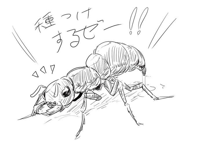 アイギスで虫姦魔界蟻本とかアイギス同人界隈で需要ははたしてあるのだろうか・・・・ 描くわけではない! #アイギスお絵かき 